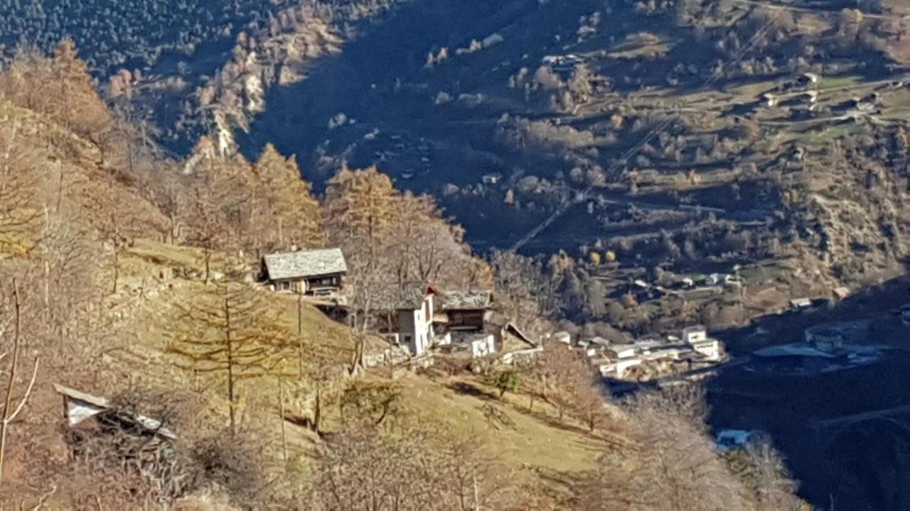 Chalet La Paz With Hotpot And Sauna Villa Törbel Eksteriør bilde