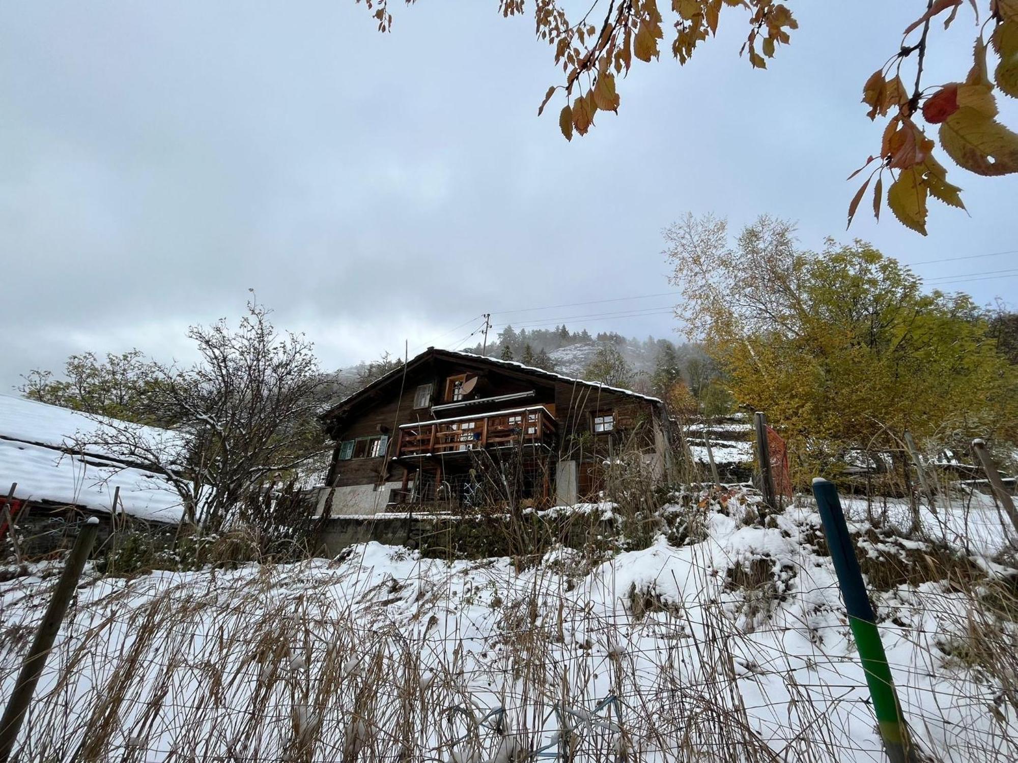 Chalet La Paz With Hotpot And Sauna Villa Törbel Eksteriør bilde